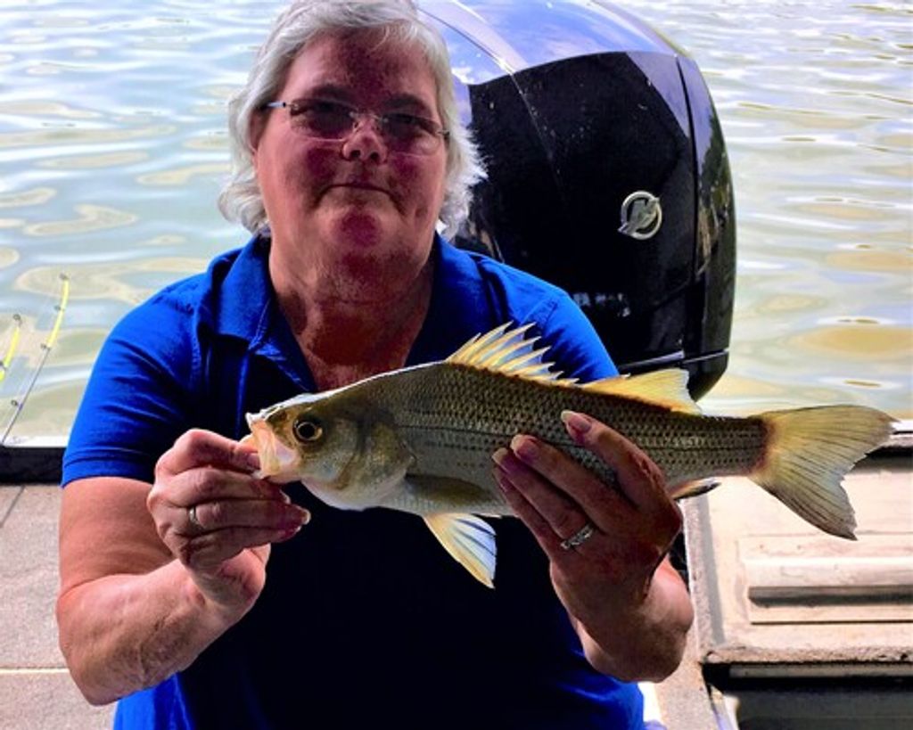 Kathleen M. Smith Profile Photo