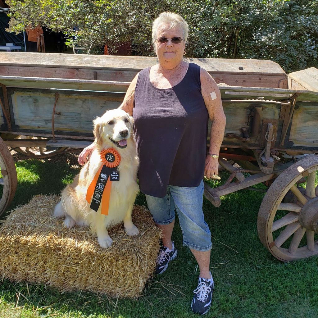 Sherri L. Noha