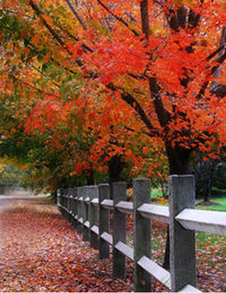 William Albert Oetting