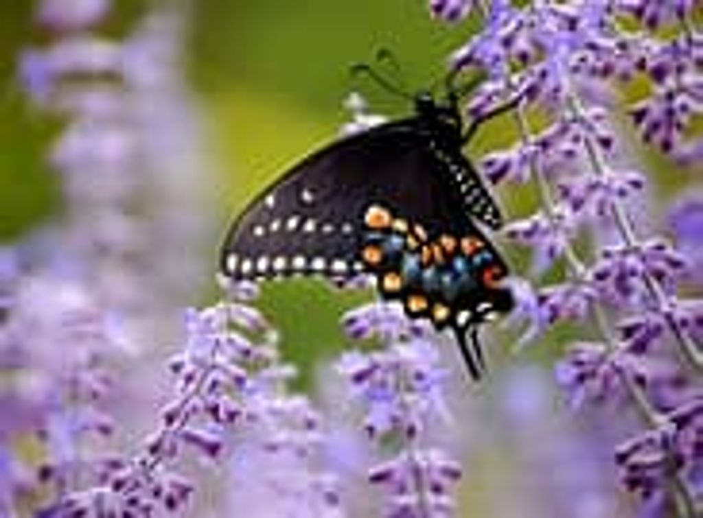 Myrna Miller Profile Photo