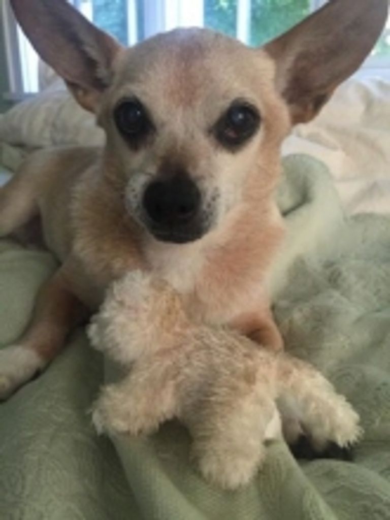 Jj Mckormick Profile Photo