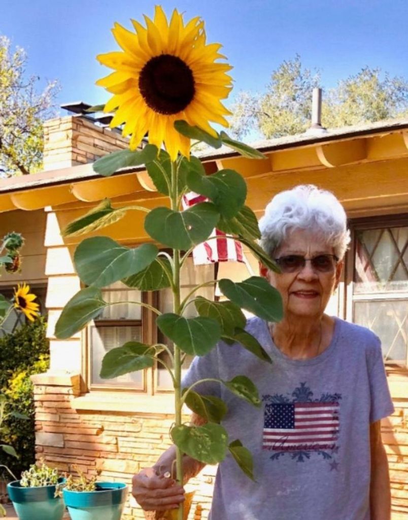Barbara Jane Hermanson Profile Photo