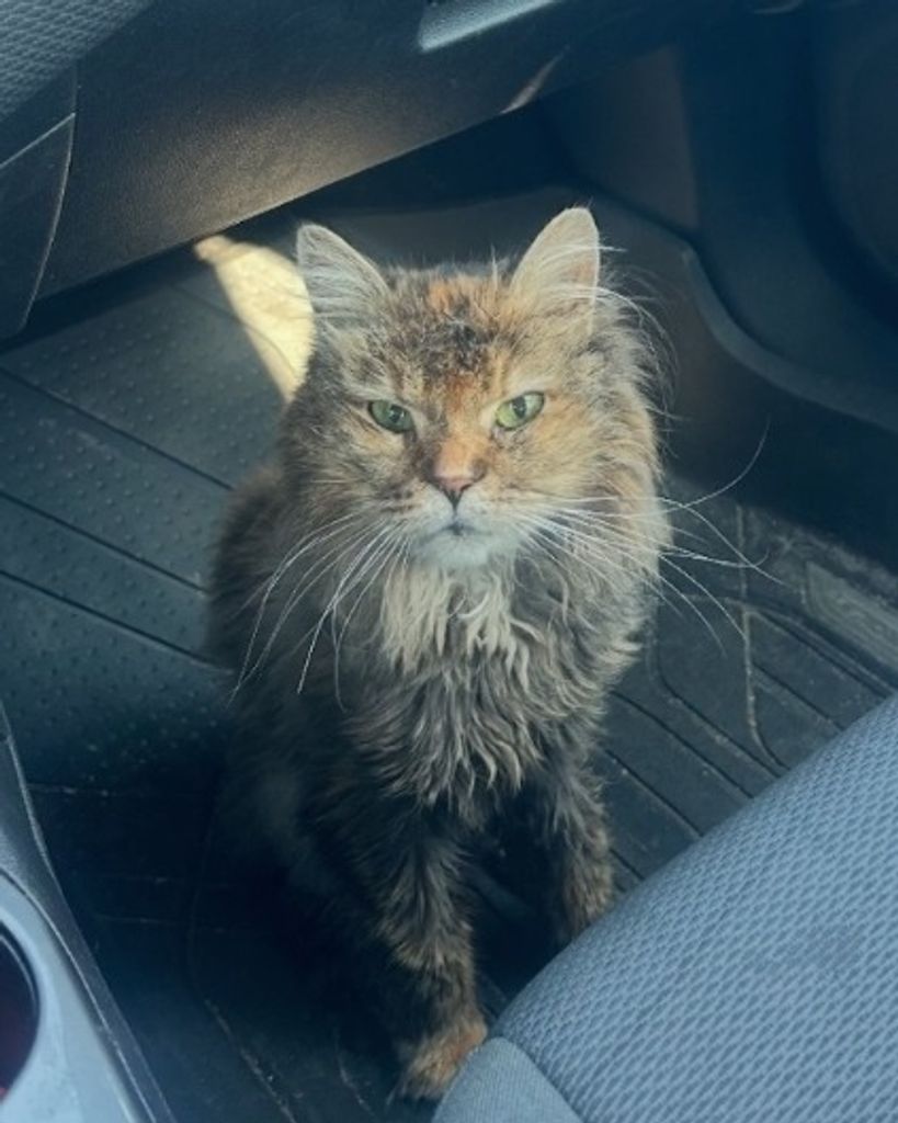 Reese Croft Profile Photo