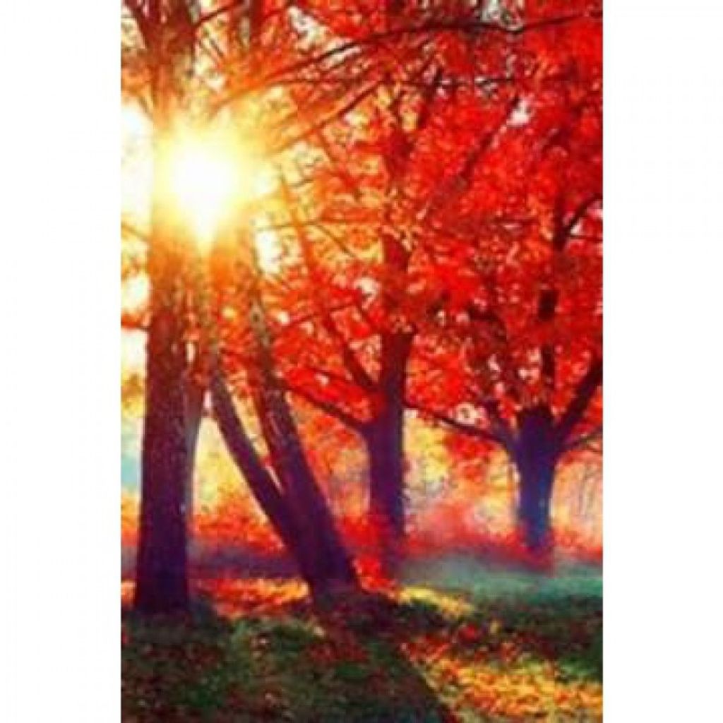 Dawn L Ernst Profile Photo