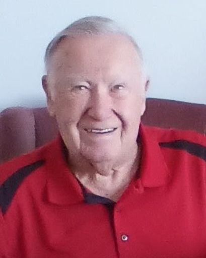 David D. Skaggs's obituary image