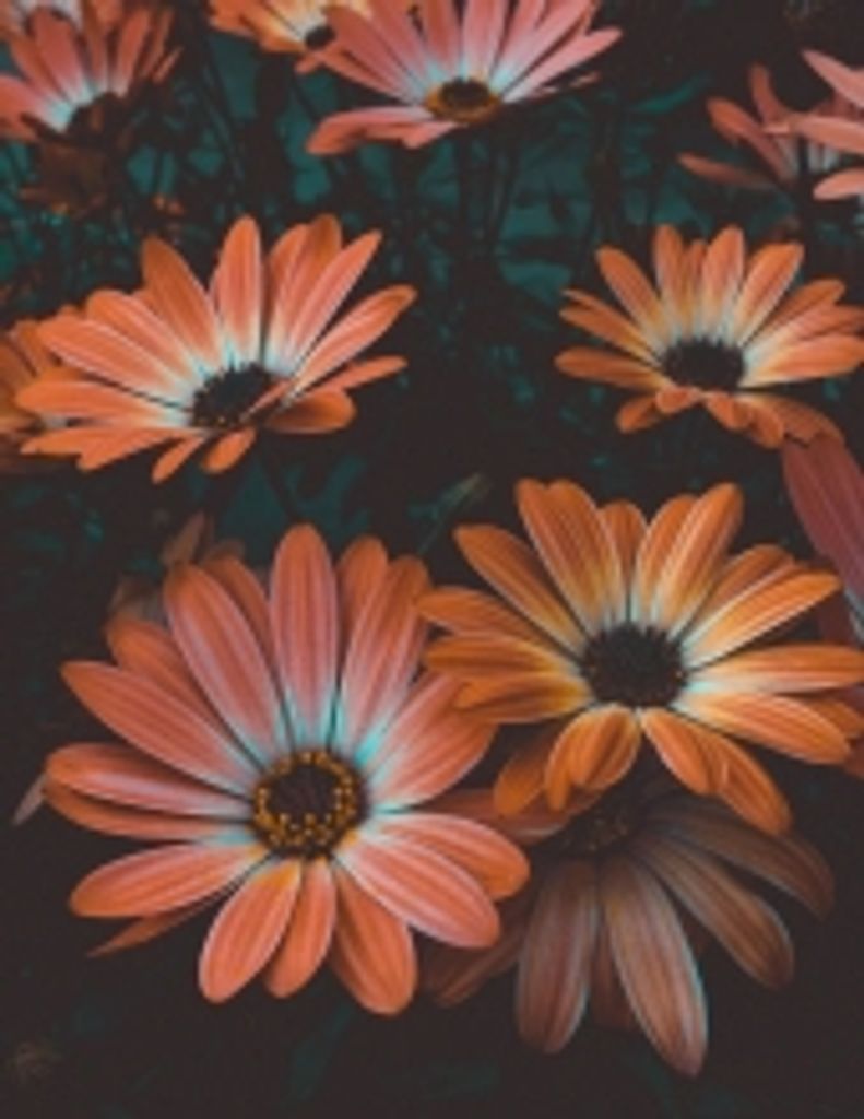 Talma Latrelle Moten