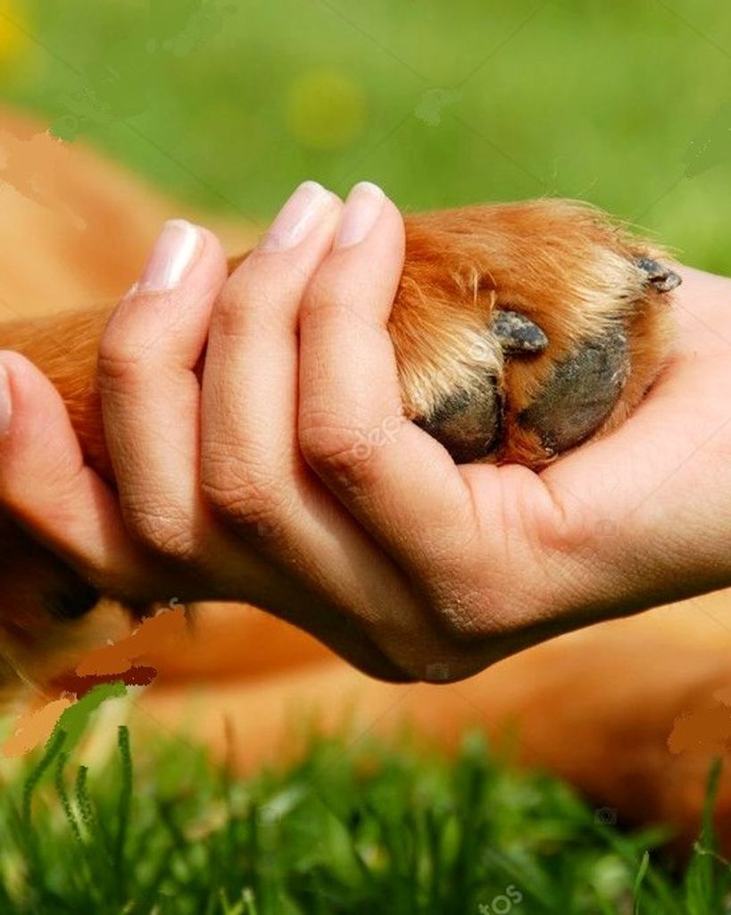 Sara Lynn Thornton Profile Photo