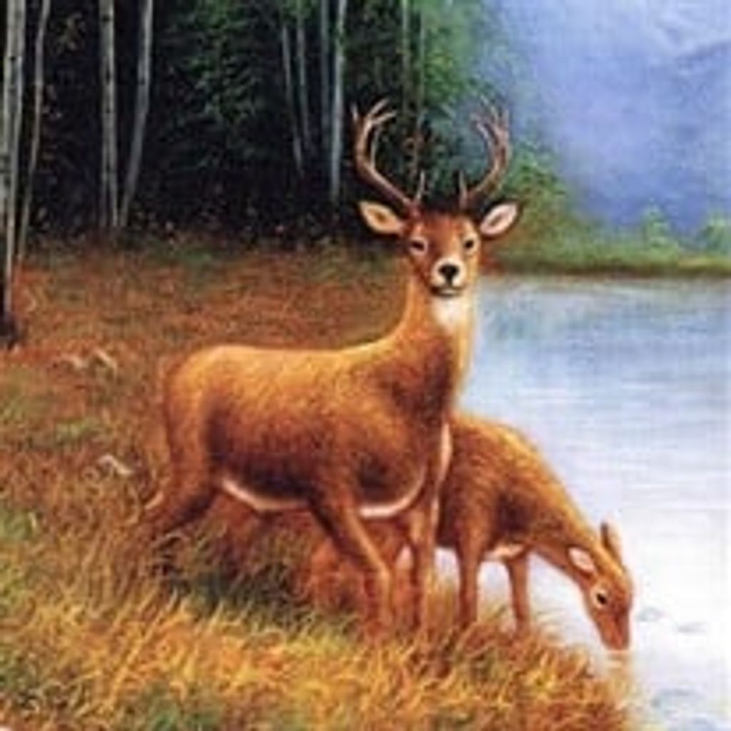 Delbert Fletcher Gilliam