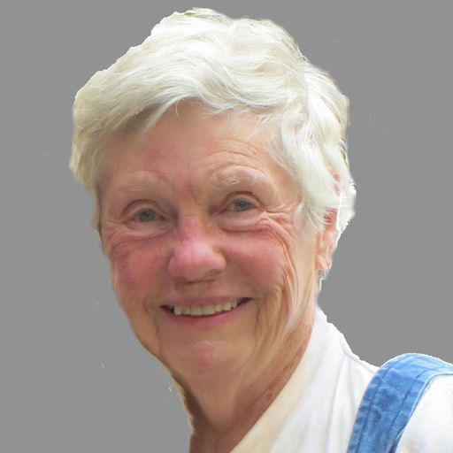 Dena Lavay Hull Hanson Profile Photo