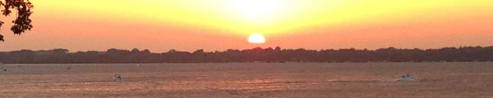 Cover for Lynne Marie Siemann's Obituary