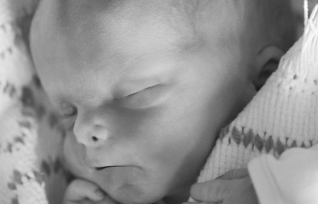 Logan Alexander Merkle