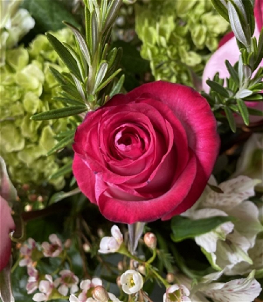 Lois K. Cox Profile Photo