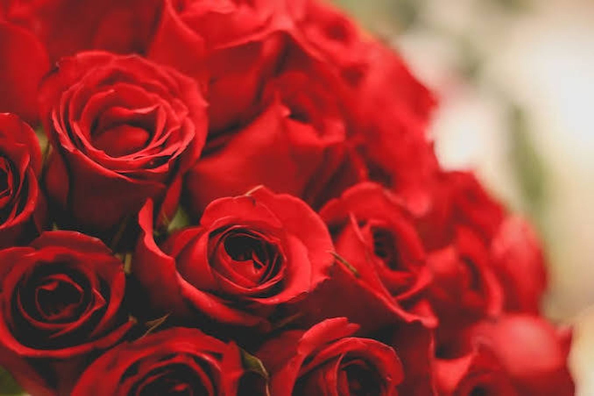 Cover for Juana M. Reyes's Obituary