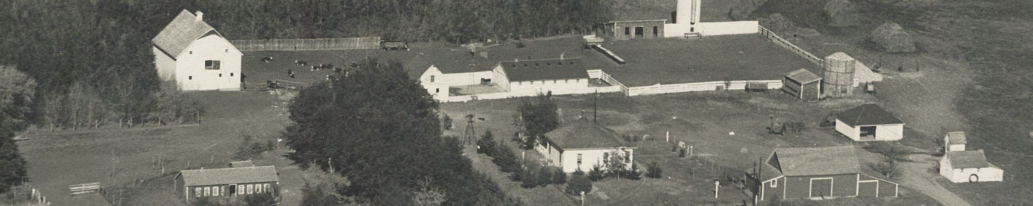 Cover for George Nohava's Obituary