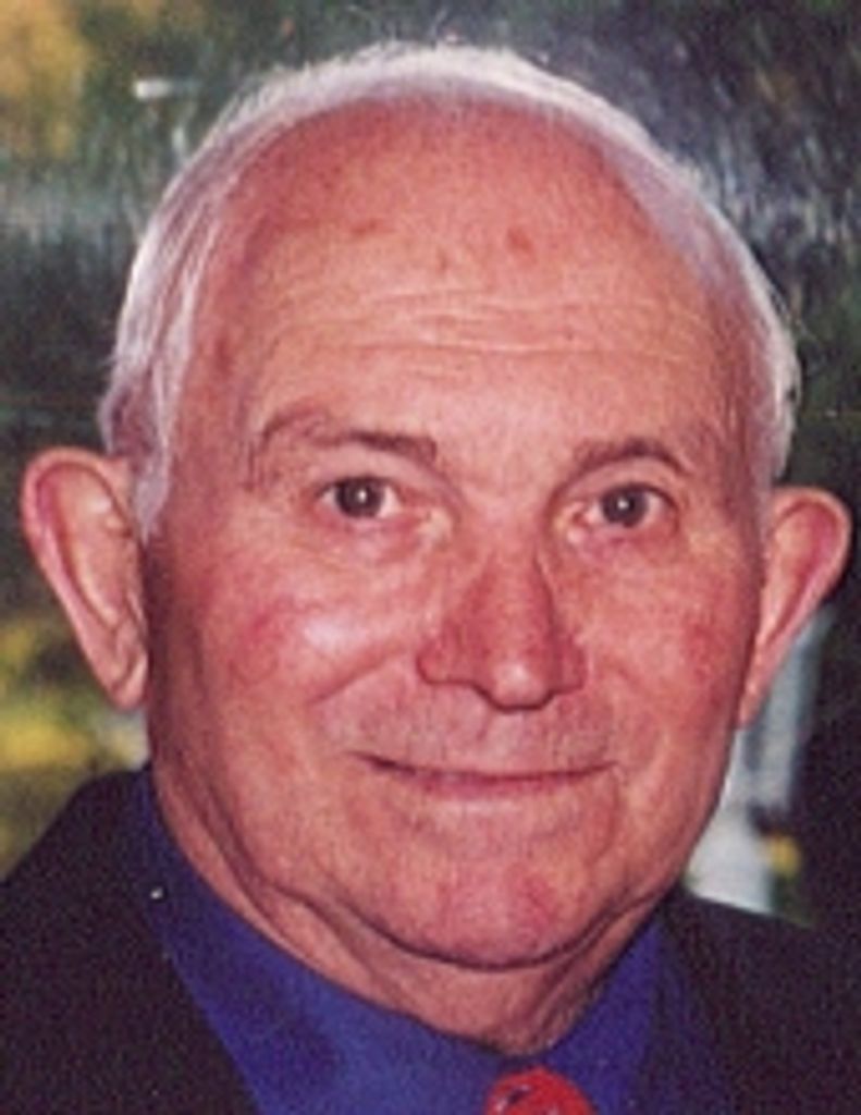 David N. Meluni