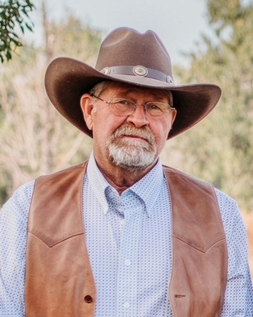 David Johnson Profile Photo