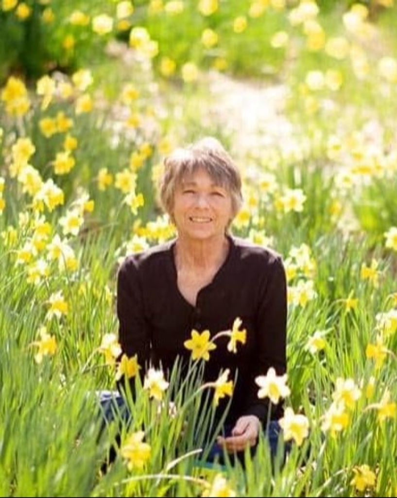 Donna Lee King