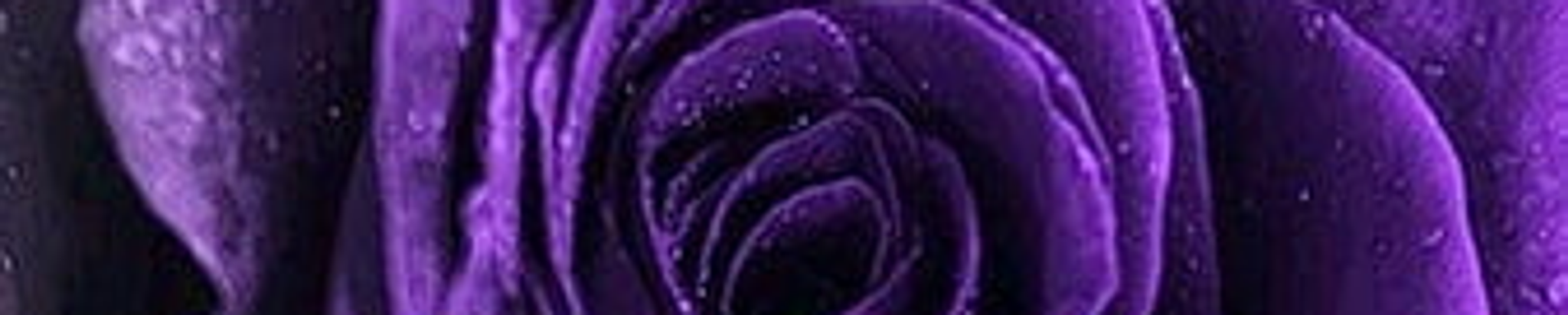 Cover for Bernice Betton's Obituary