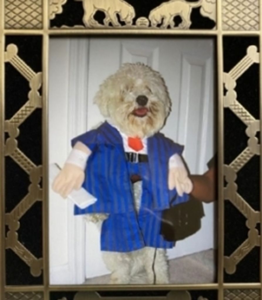 Sir Chester Mahoney