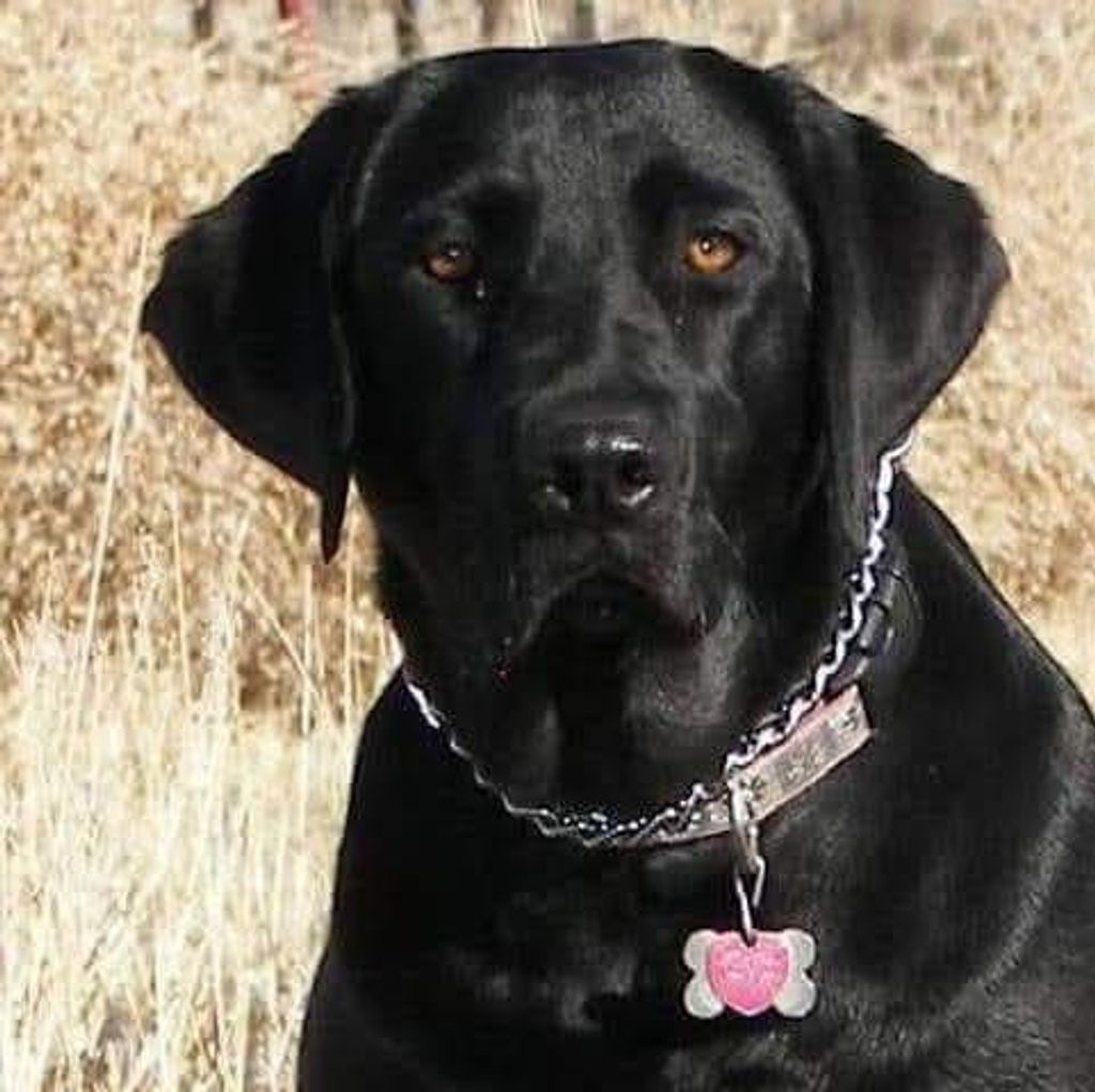 Abby Profile Photo