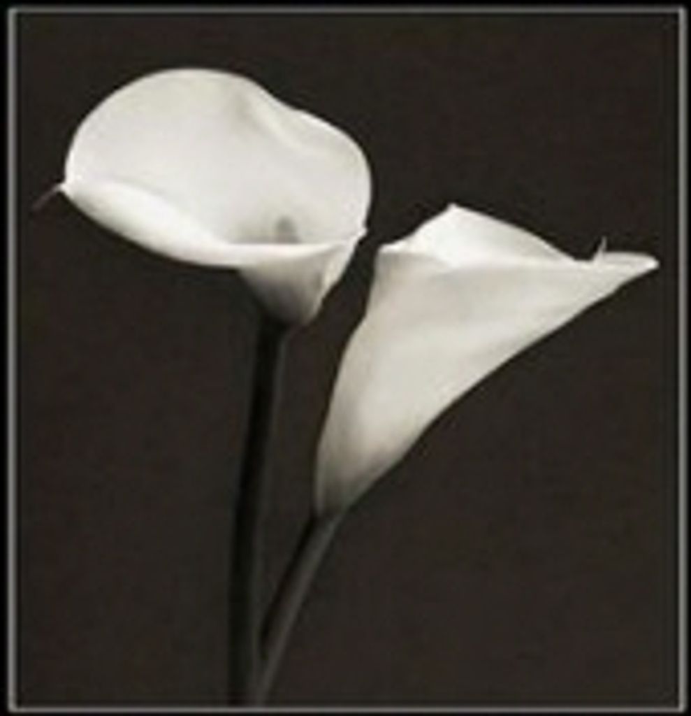 Darlene Ormsbee Profile Photo