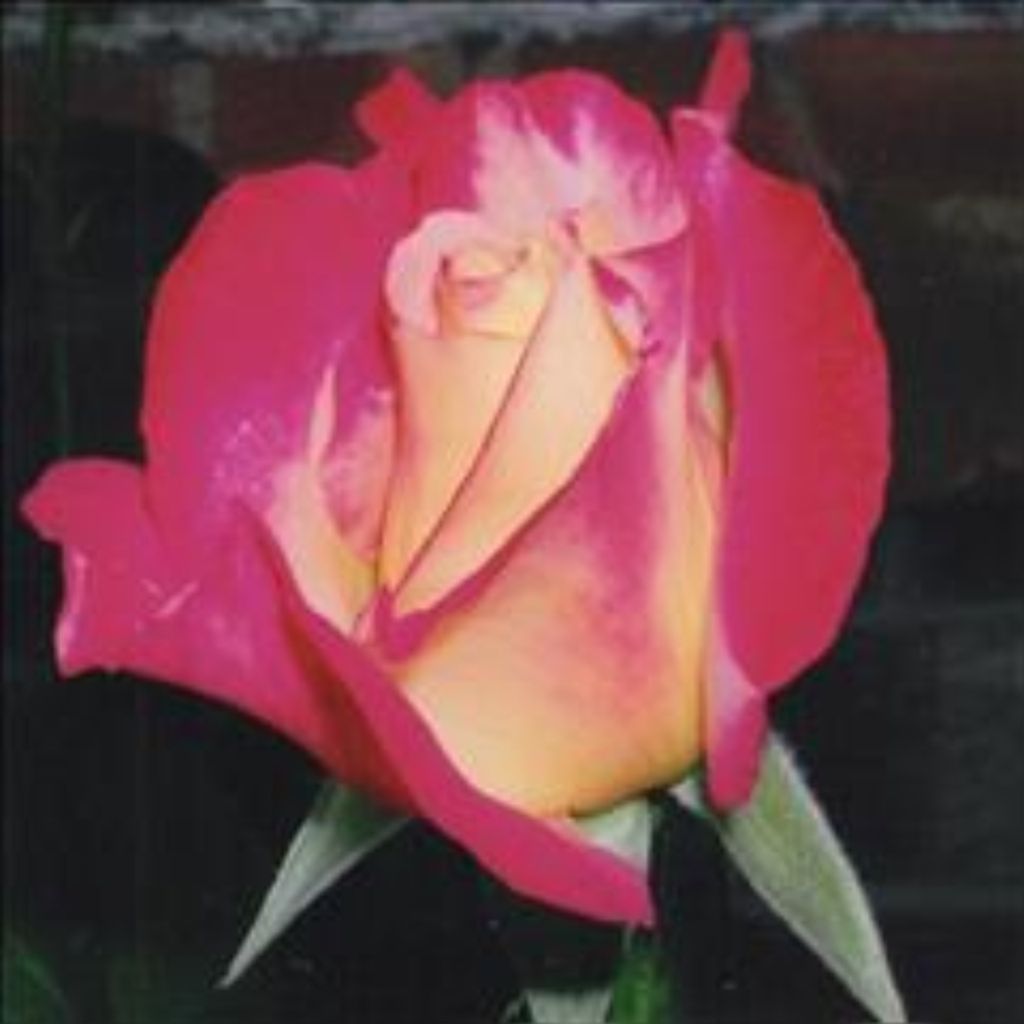 Loretta Mae Blair Profile Photo