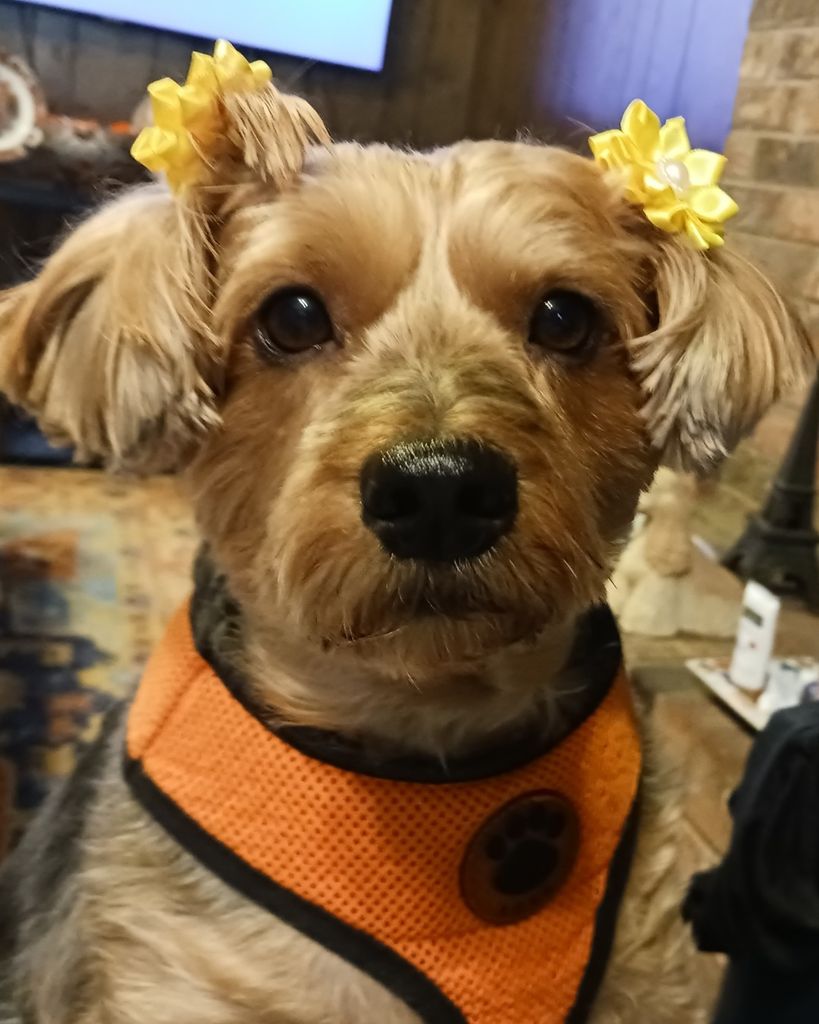 Yori Tucker Ray Profile Photo