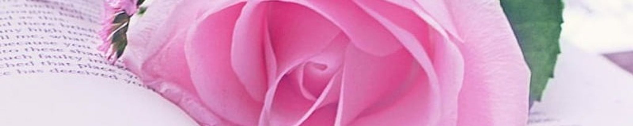 Cover photo for Sheilah Elizabeth Daniel's Obituary