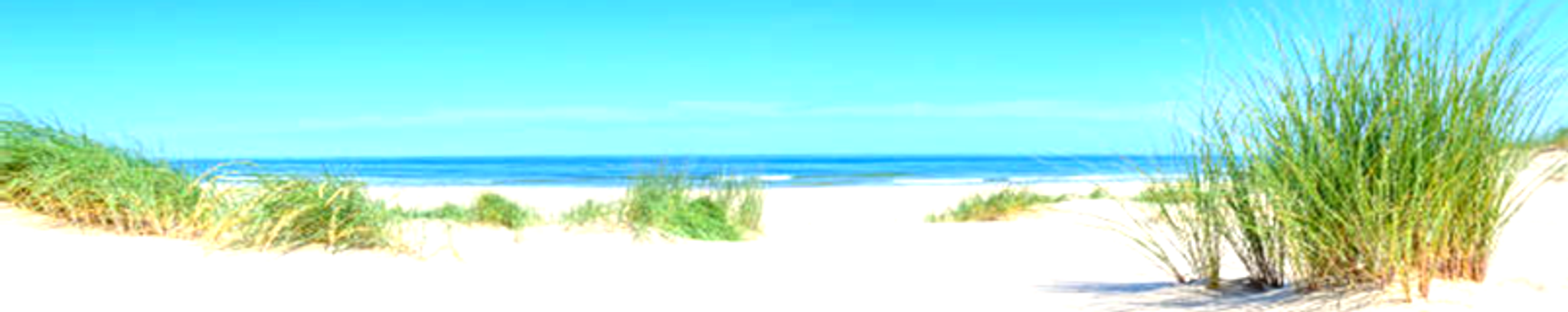 Cover photo for Sue Dingess's Obituary