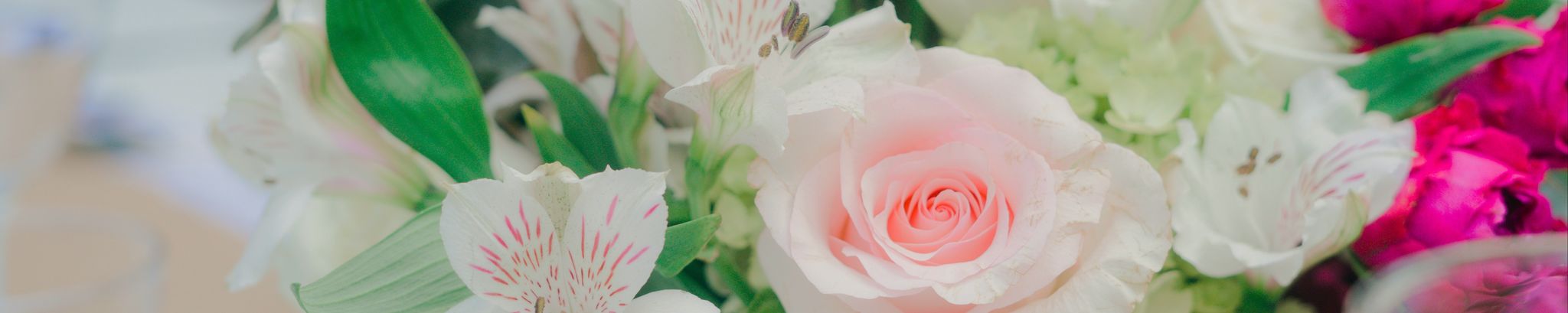 Cover photo for Lisa Hicks's Obituary