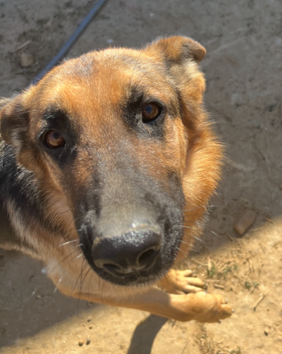 Luna ?'s obituary image