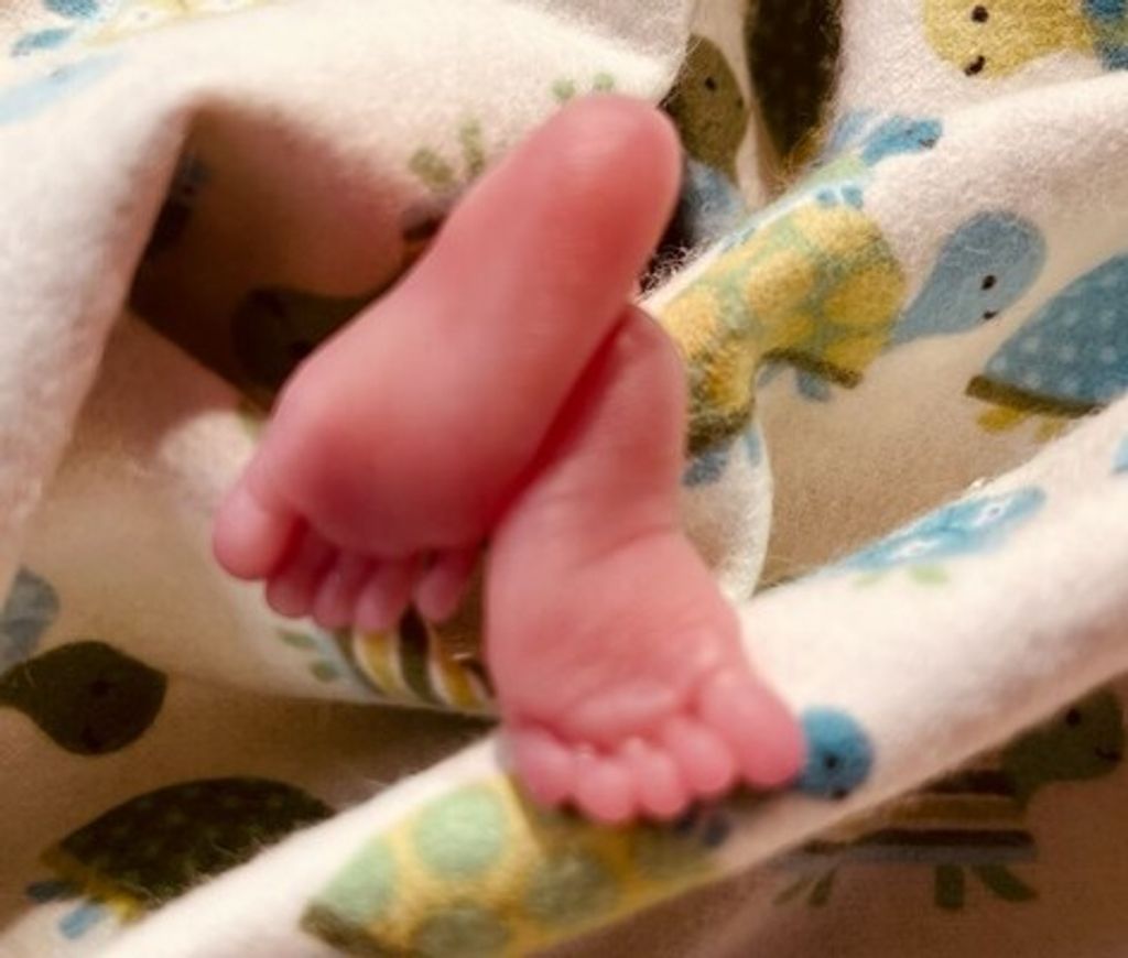 Waylon James Beshears