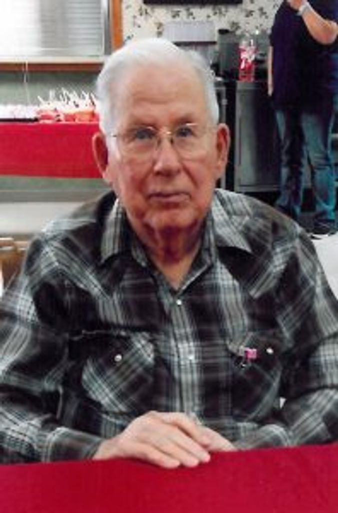 Virgil H. Skaggs