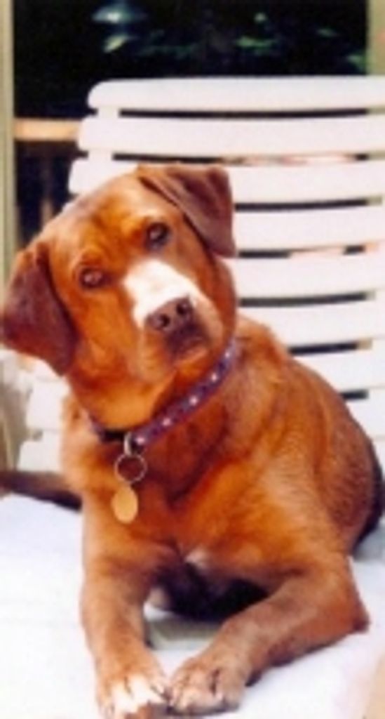 Conan Mcclain Profile Photo