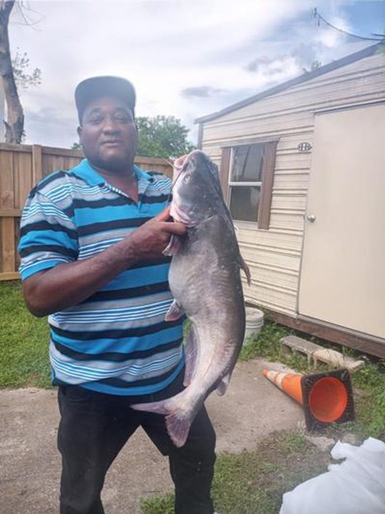Mr. Willie Cliff, Jr Profile Photo