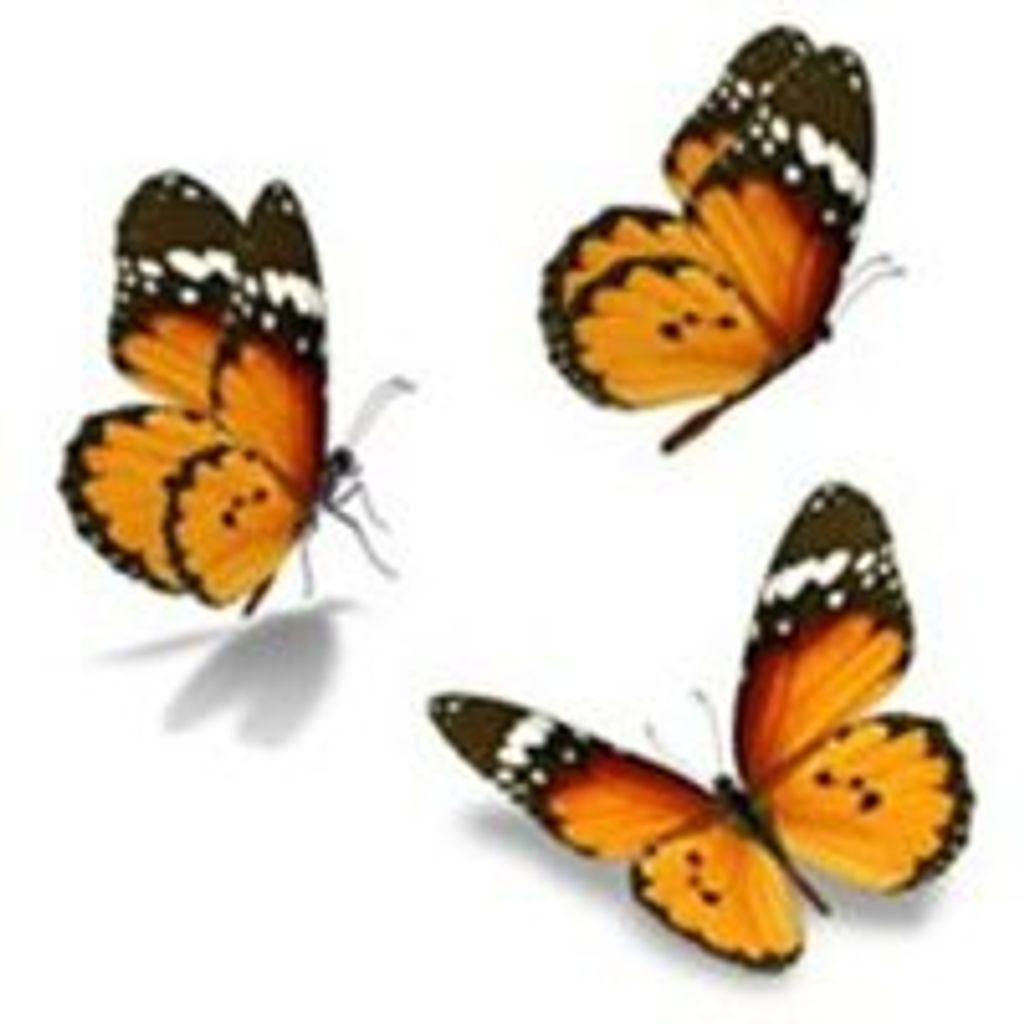 Giselle Morales Profile Photo