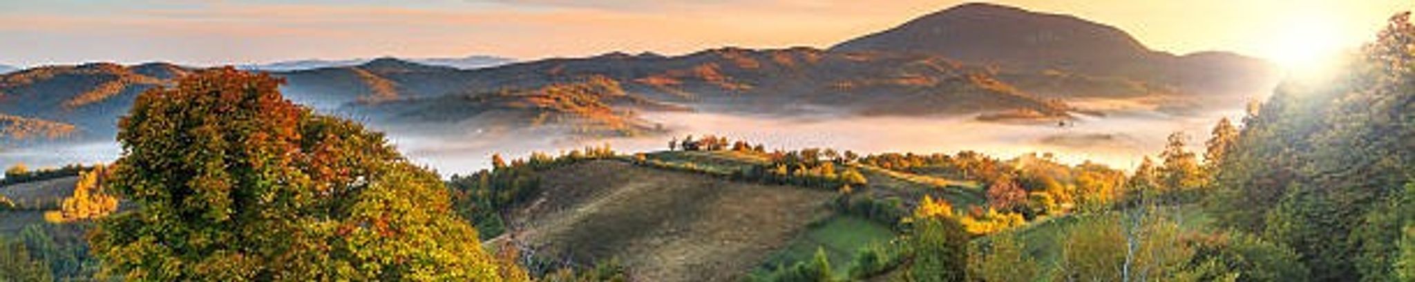 Cover for Sultana Tudorita Tripcea's Obituary