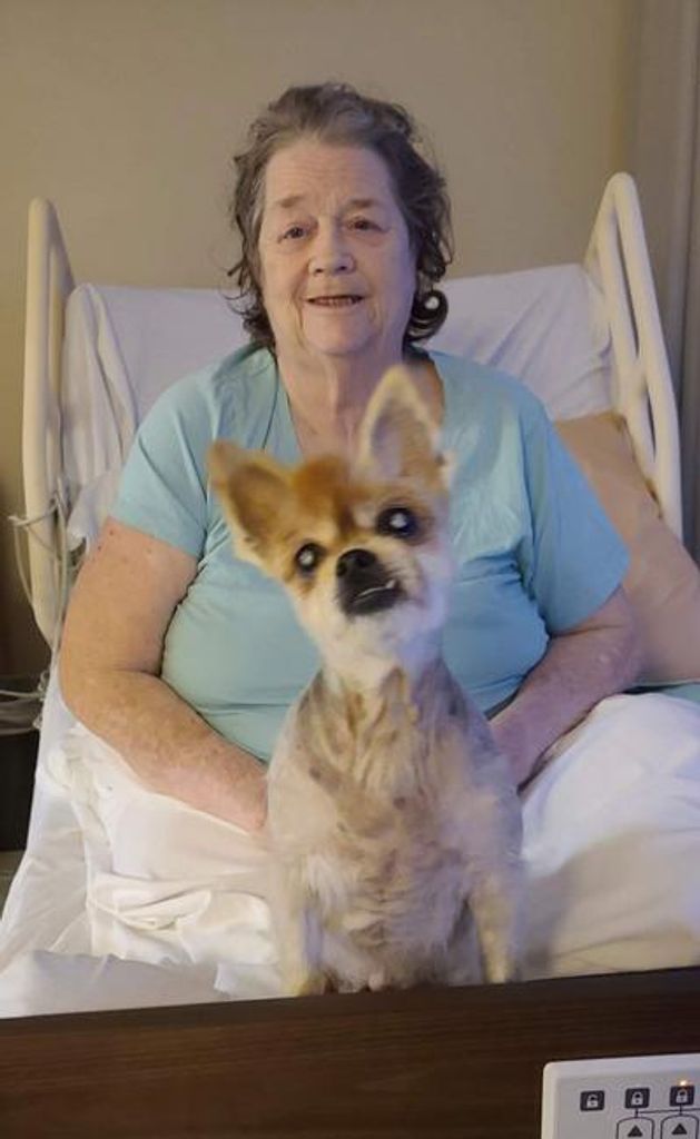 Sheila Dianne Dorton Profile Photo