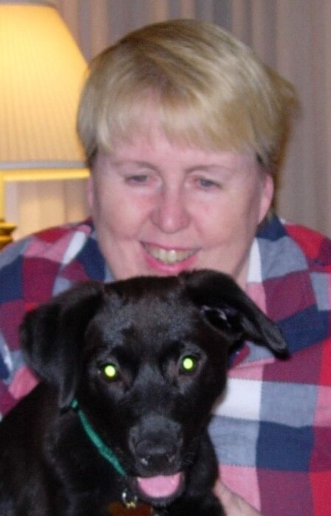 Denise Ann (Geaney)  O'Shea Profile Photo