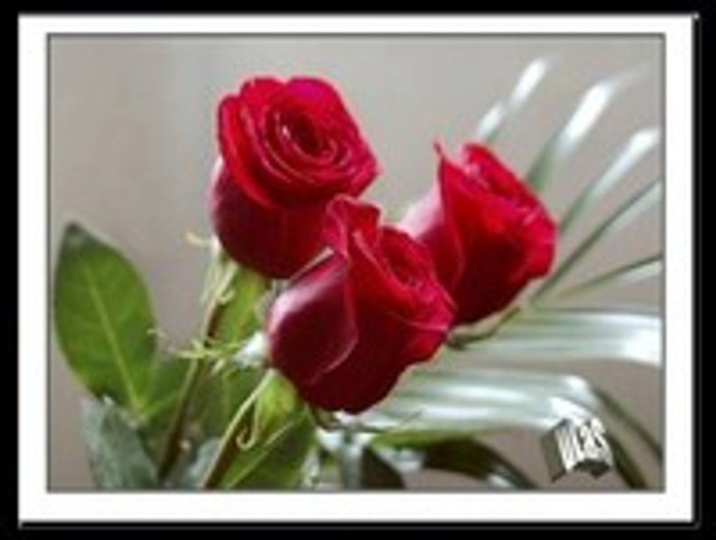 Lenora (Deckert)  Purdy