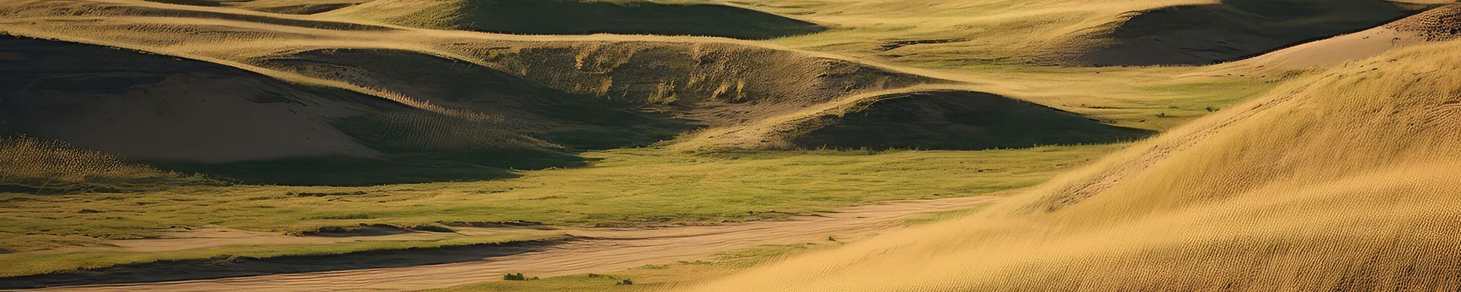 Cover for Spencer Larsen's Obituary