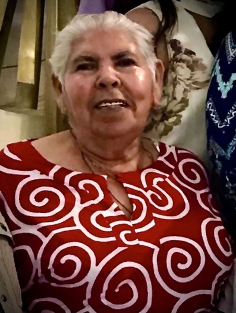 Maria Nieves Ruiz Meza Profile Photo