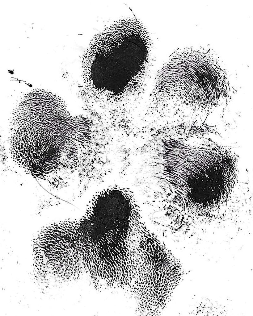 Dovah Lamoreaux Profile Photo