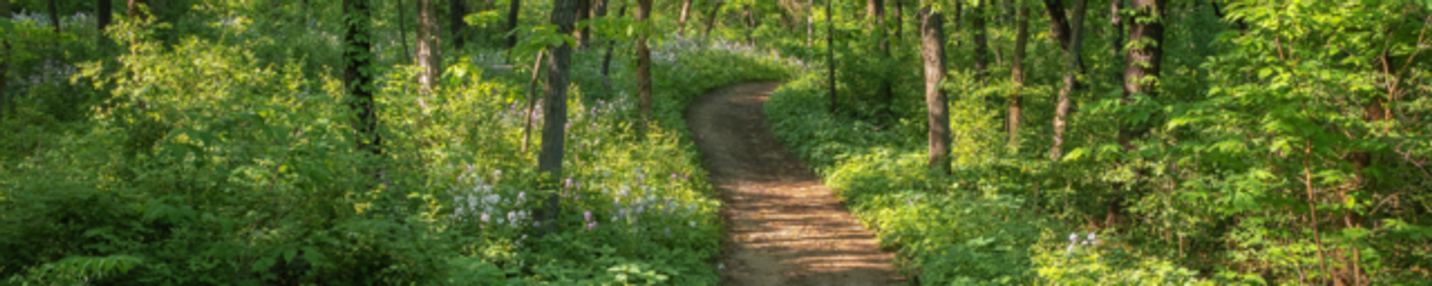 Cover for Joey Stricklin's Obituary