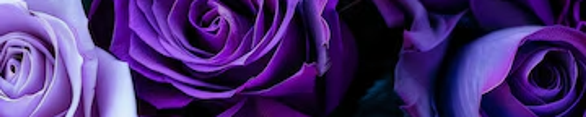 Cover for Lisa Renee Pleasant-Turner's Obituary