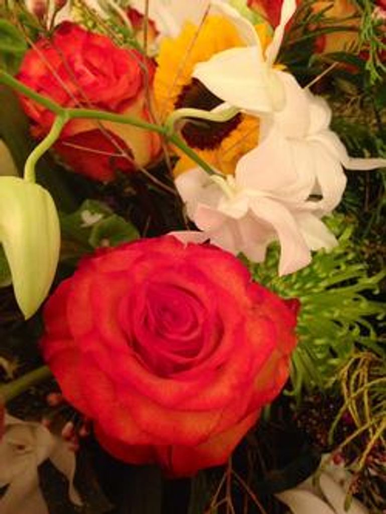 Virginia "Nonnie" "Ginny" Vanhorn Hall