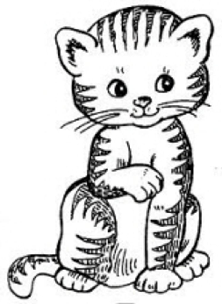 Magnus Wilson Profile Photo