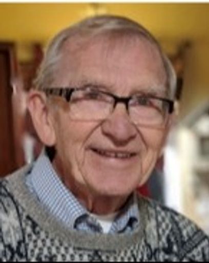 David Raymond Bockweg's obituary image