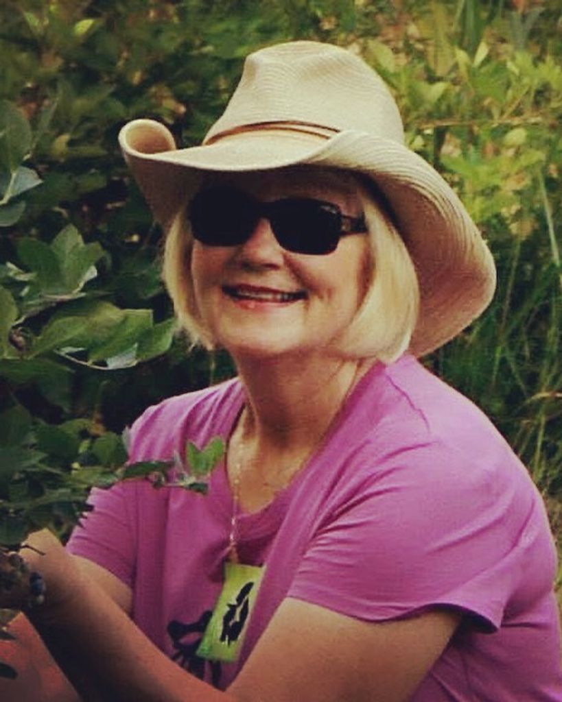 Jo Sue Draughon
