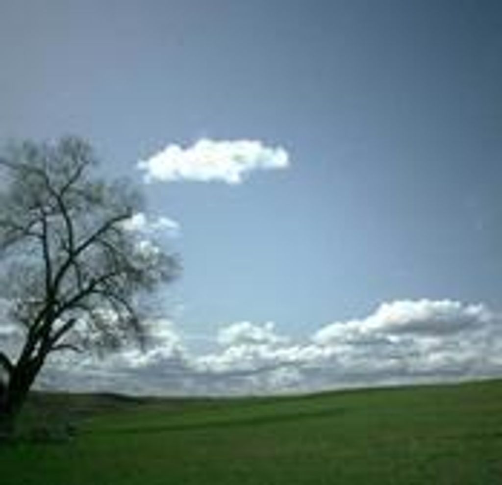 Kenneth Benning Profile Photo